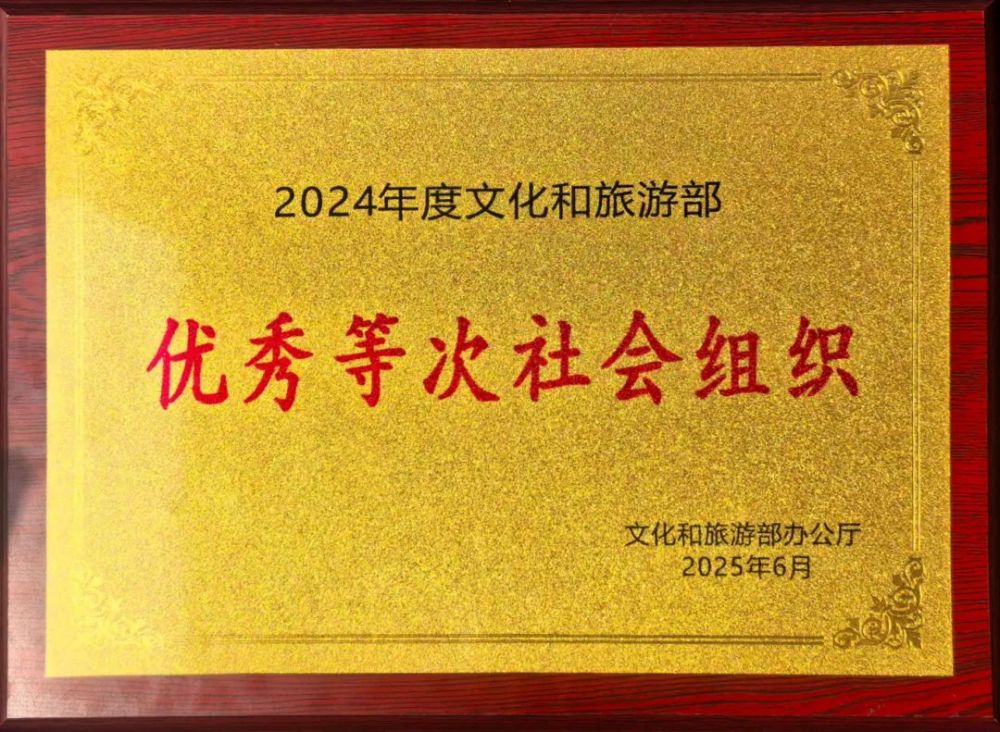 优秀等次社会组织牌匾.jpg